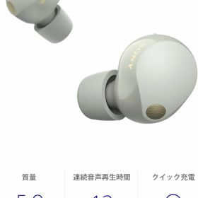 WF-1000XM5 (S) [プラチナシルバー]