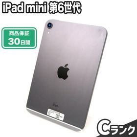 iPad mini 6世代目 液晶ジャンク スペースグレイ-