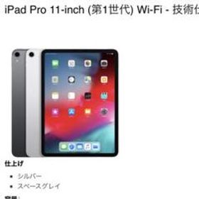 最安値 iPad Pro 11 wifi 64GB MTXN2J/A 極上品