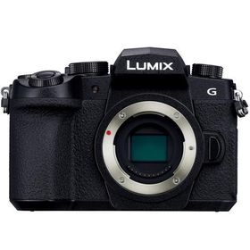 【長期5年保証付】パナソニック(Panasonic) DC-G99D ボディ