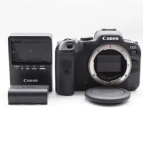 Canon ミラーレス一眼カメラ EOS R6 ボディー EOSR6 #2613