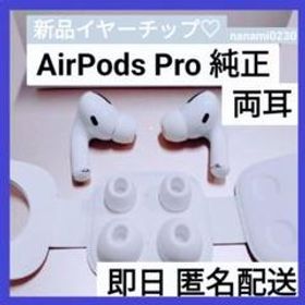Apple純正 AirPods Pro 両耳\u0026イヤーチップのみ