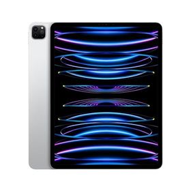【値段交渉】iPadPro 12.9 第6世代 WiFi 1TB フィルム貼済