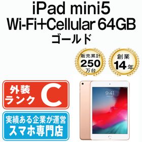 iPad mini 2019 (第5世代) 訳あり・ジャンク 25,000円 | ネット最安値