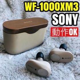 SONY WF-1000XM3 ワイヤレスイヤホン 完動品 動作確認済 問題なし