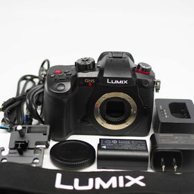 パナソニック(Panasonic)のPANASONIC DC-GH5M2(ミラーレス一眼)
