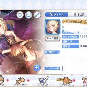 21万ジュエル所持引退垢 | プリンセスコネクト(プリコネR)のアカウントデータ、RMTの販売・買取一覧