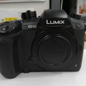 ミラーレス一眼ボディ DC-GH5 PANASONIC