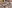 IMAGE ALT TEXT HERE