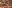 IMAGE ALT TEXT HERE