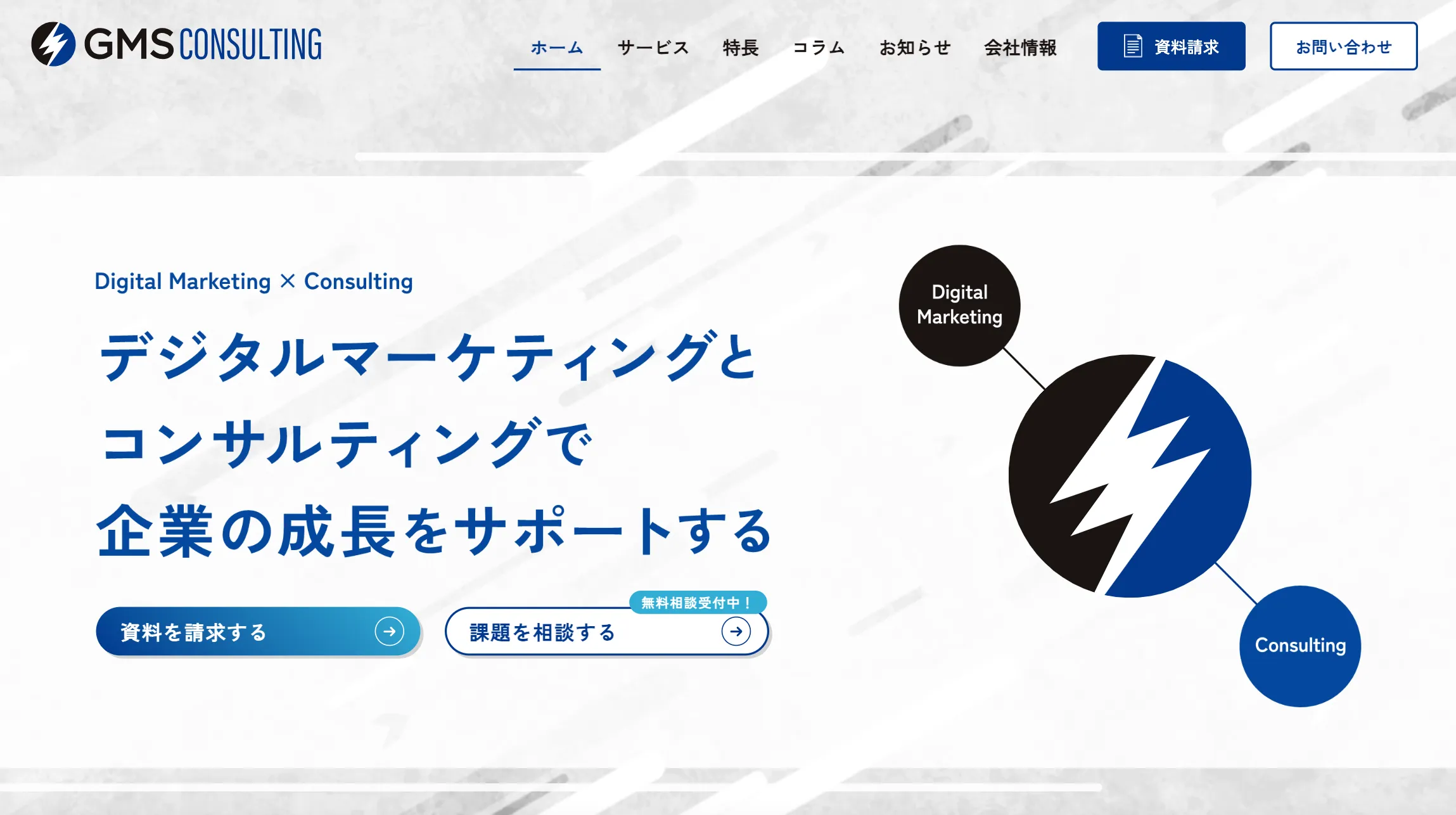 株式会社GMSコンサルティング