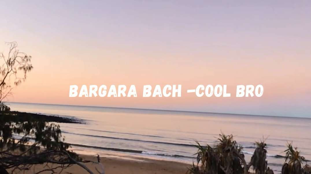 BargaraBeach Cool Bro