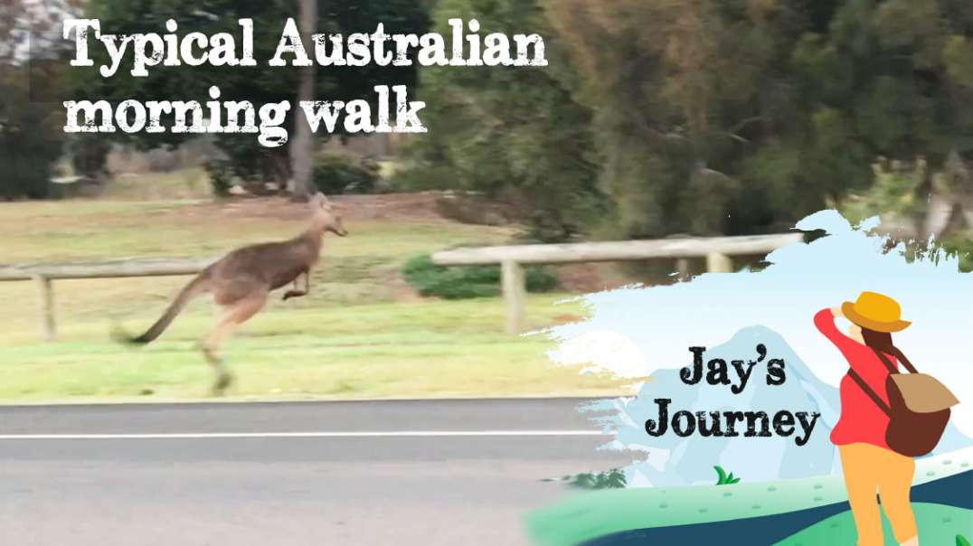 An Australian Morning Walk