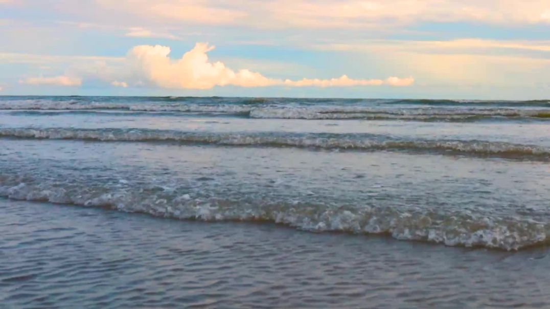 Video Shoot at Tajpur Sea Beach