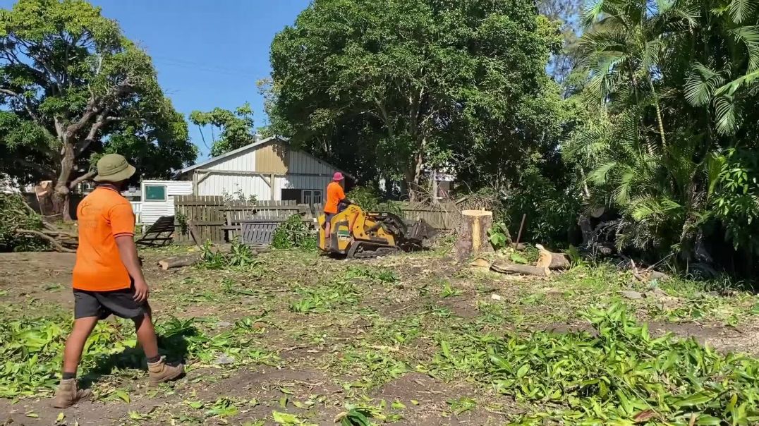 Bundy and Bargara Tree Service