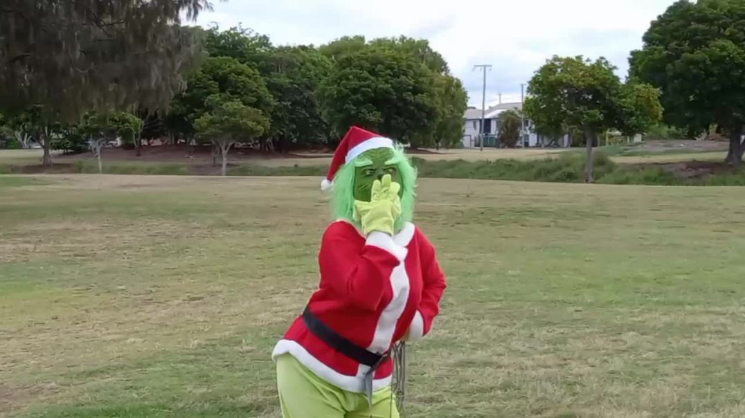 Funny and Sexy Grinch Bargara