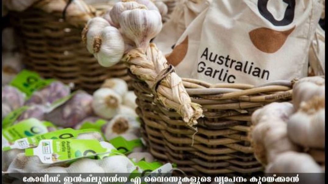Australian garlic kills COVID-19, says Doherty Institute