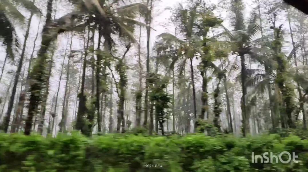 Tea estate and silver Oak estates kalasa road dakshina kannada